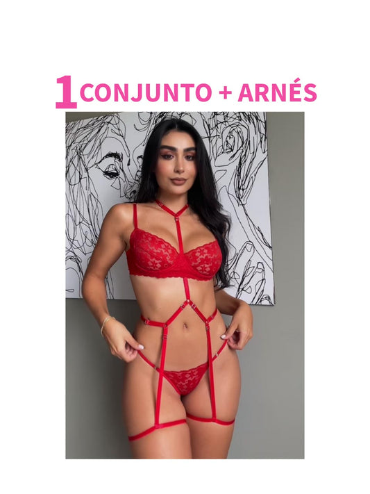 KIT 1 CONJUNTO VARILLA + 1 ARNES DE CUERPO